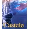 Castele de nisip