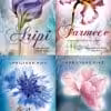 Seria Aripi – Aprilynne Pike