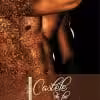Castele de Foc Timea Y Arin