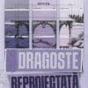 Dragoste Reproiectată Lauren Asher