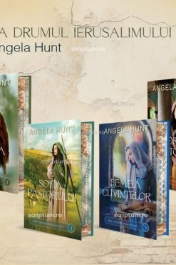 Seria Drumul Ierusalimului Angela Hunt